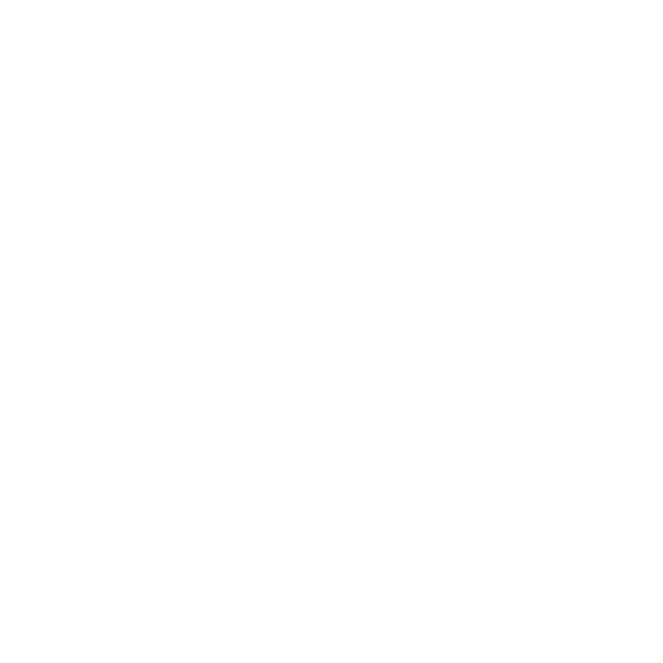 Atelier d'Architecture & d'Ingénierie International